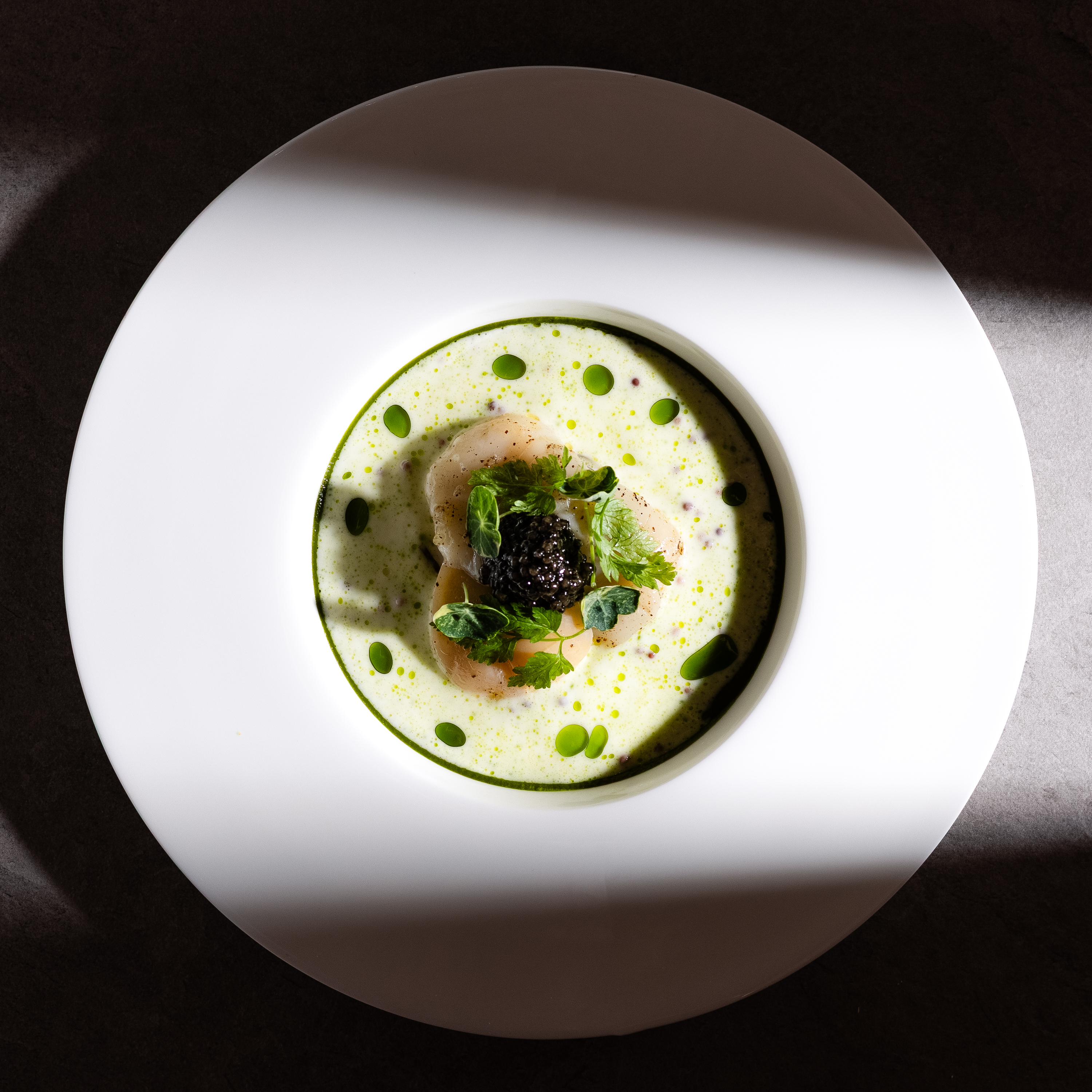 scallop